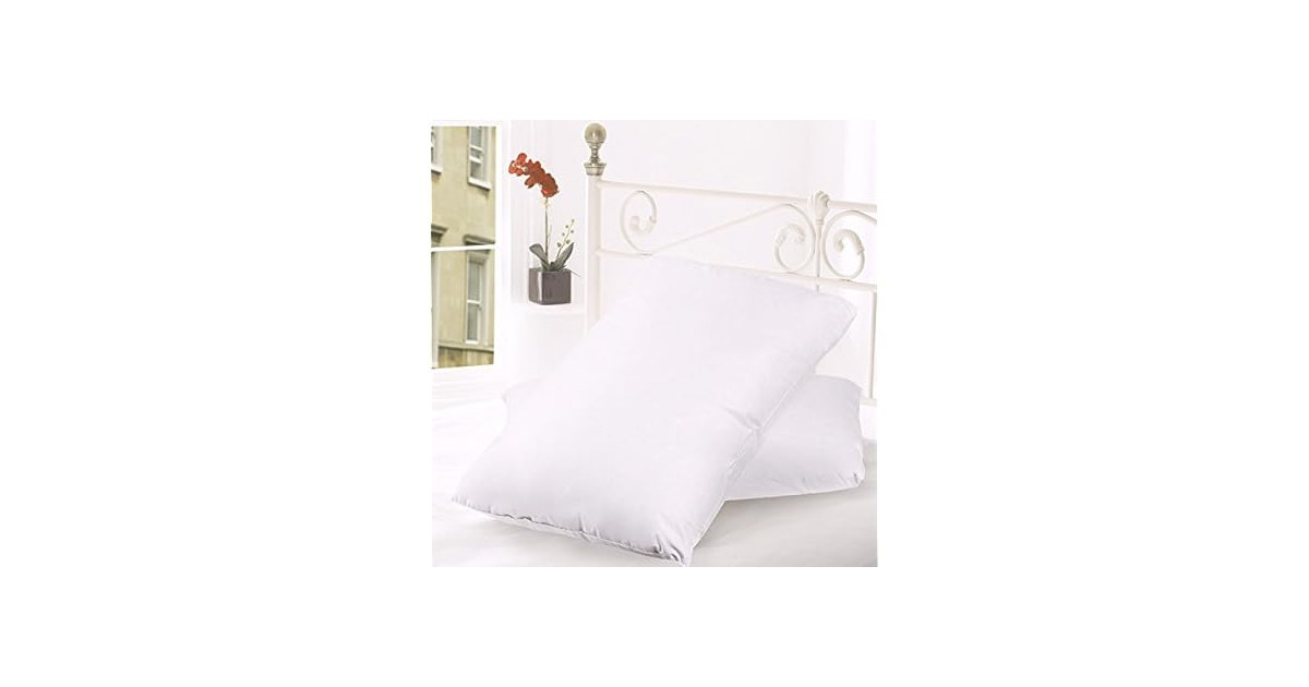 2pk Down & Feather Cover Pillows