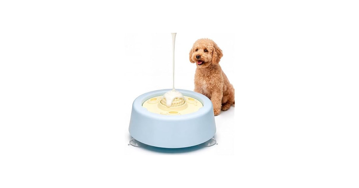 PetZest Slow Feeder Dog Bowl