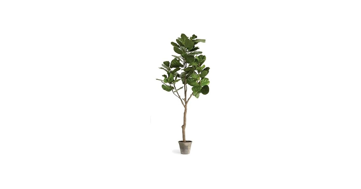 National Tree Company 79 Inch Artificial Fiddle Leaf Fig Tree in Clay Pot