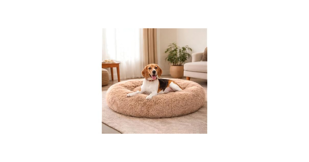 FITION Dog & Cat Bed for Indoor Cats