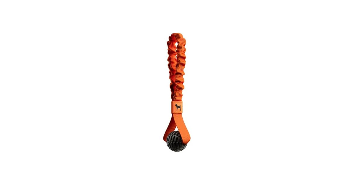 NOAH & PAW Luxury Dog Toy, TPU- Sling, Black