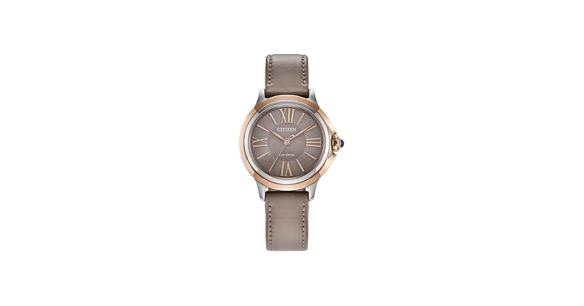 Citizen Citrizen Eco-Drive Women's Ceci Brown
