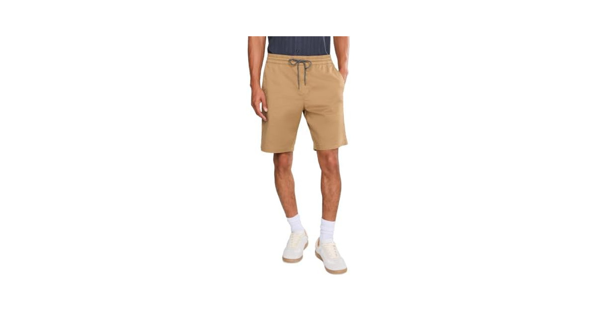 Volcom, Men's, Frickin EW Shorts 19",