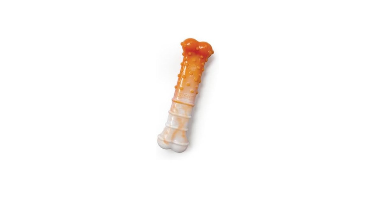Nylabone Power Chew Textured Bone Dog