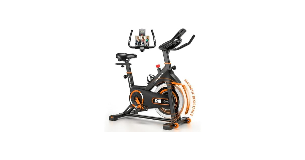 DMASUN Exercise Bike