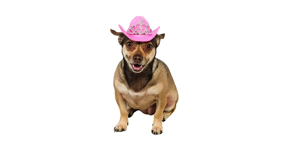 Rubies Cowgirl Pet Hat with Faux Tiara