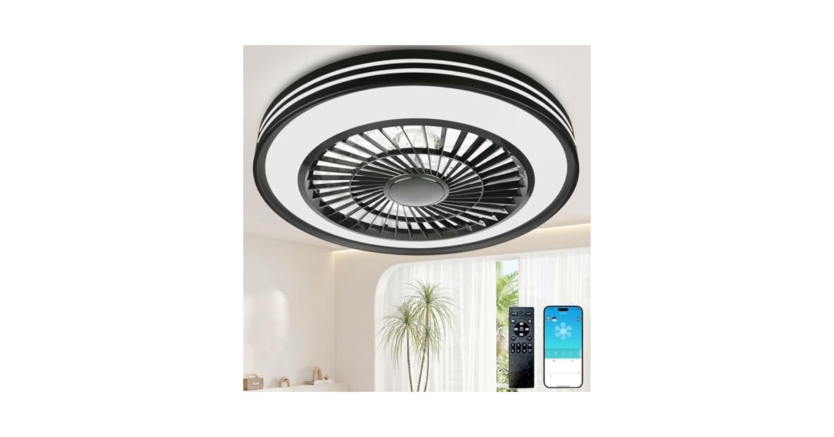WUTGHUI Ceiling Fan w/Remote