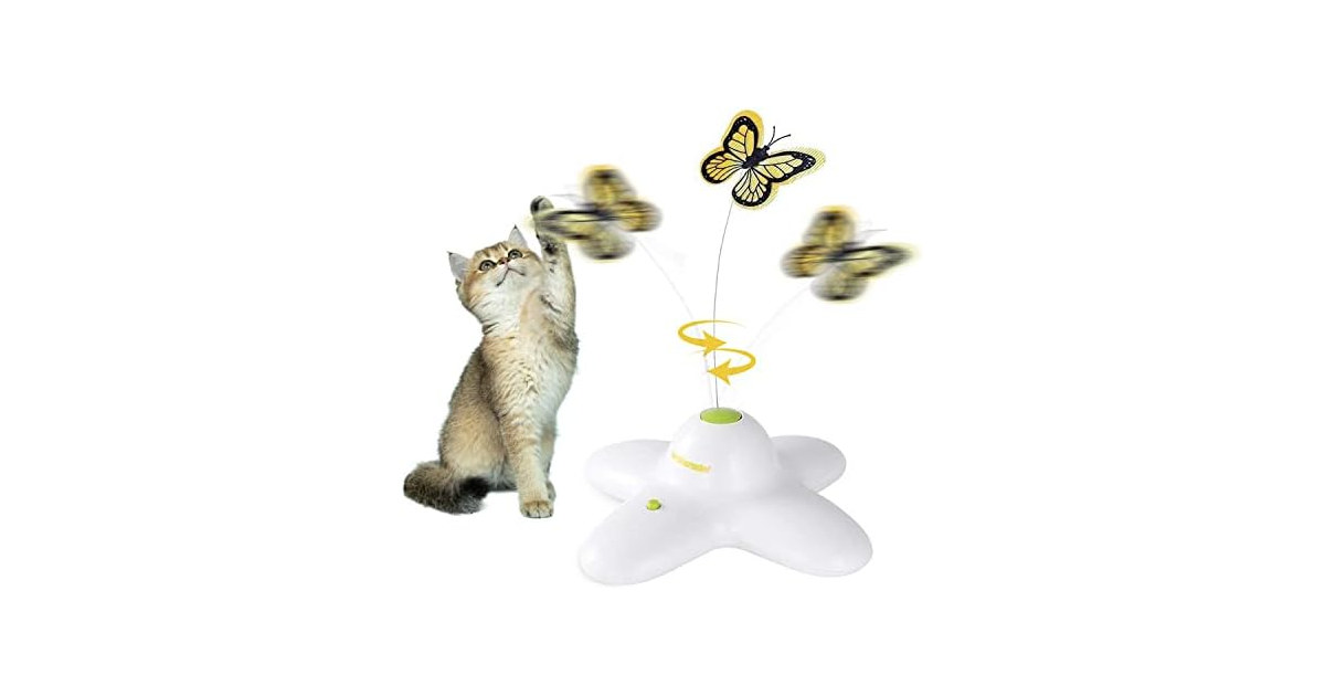 ALL FOR PAWS Interactives Flutter Bug