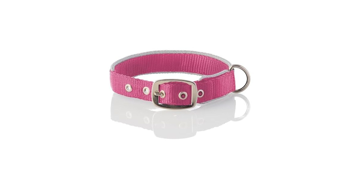 Pet Passion Adjustable Silver Trimmed