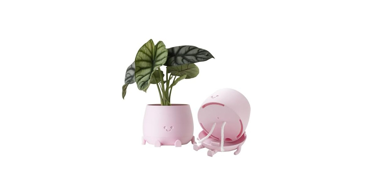 TOPOLA Happy Face Planter