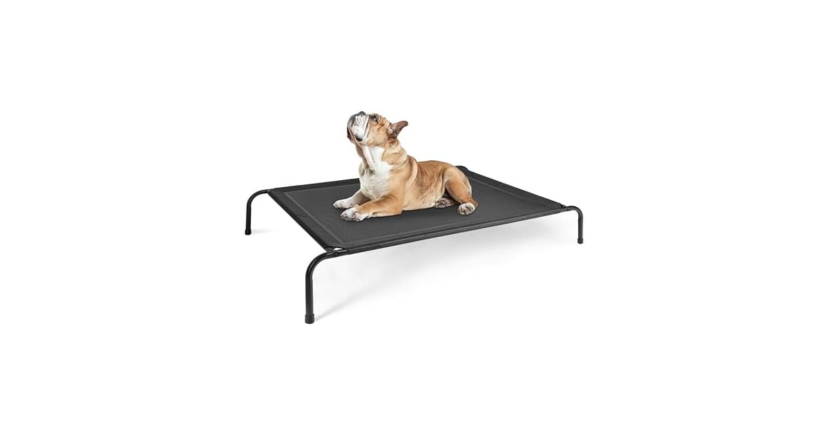 Simple Deluxe Elevated Dog Bed, Black