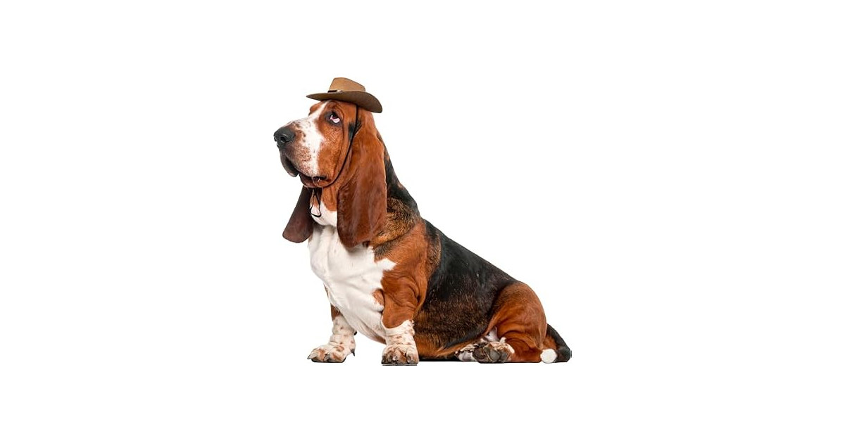Rubies Cowboy Pet Hat for Dogs or Cats, M/L