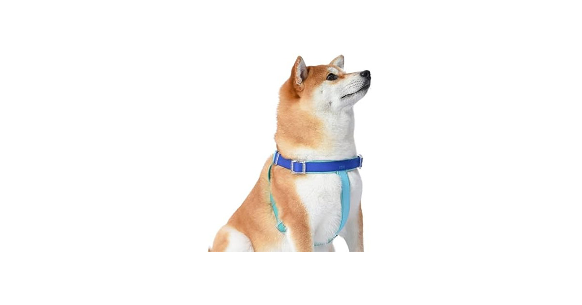 Wags & Wiggles Waterproof PVC Dog