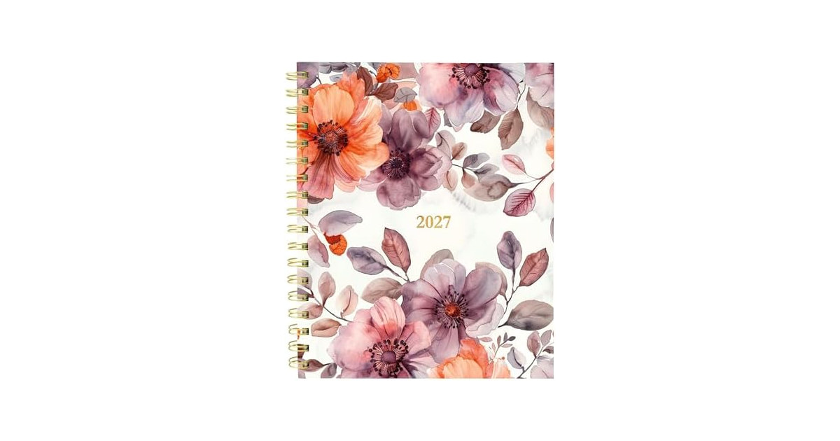 Blueline® 17-Month Monthly Planner