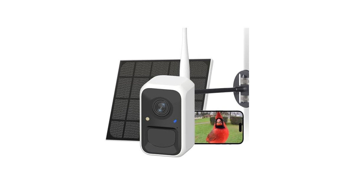NETVUE Birdfy Bird Camera for Feeder