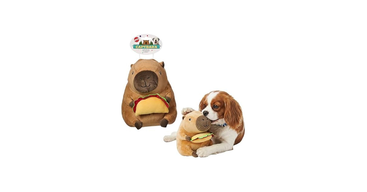 SPOT Capybara with Taco Plush Dog Toy