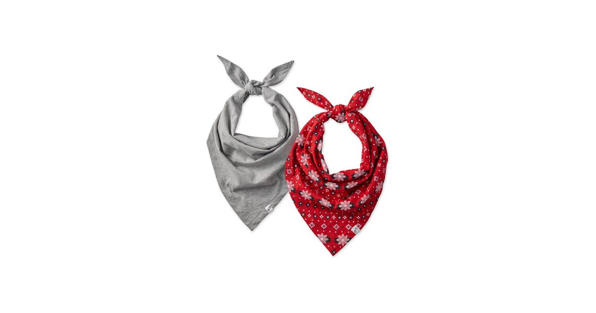 Pet Passion Bandit - THE PET Bandana
