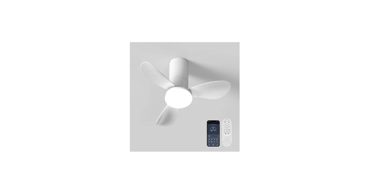 26 Inch Ceiling Fans with Lights