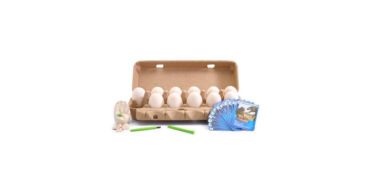 Discovery™ Dino Excavation Eggs STEM Kit