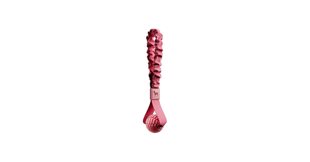 NOAH & PAW Luxury Dog Toy, TPU- Sling, Pink
