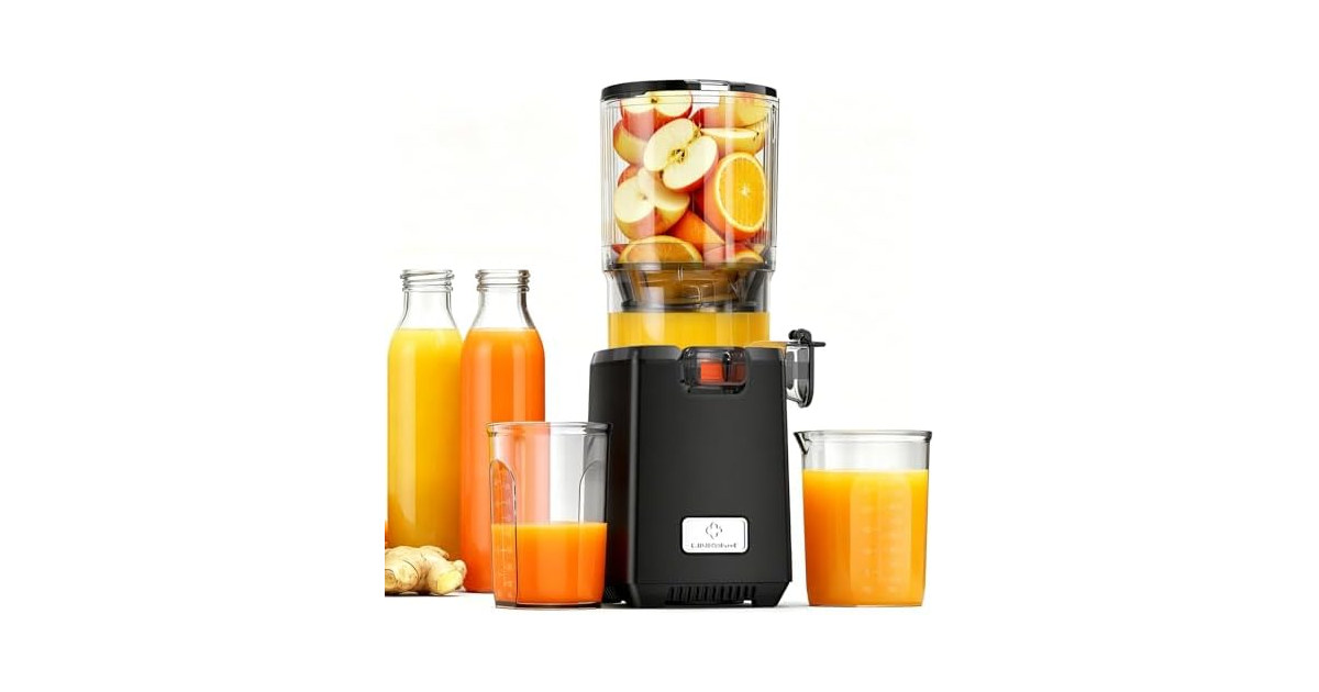 Cold Press Juicer – 250W Juicer