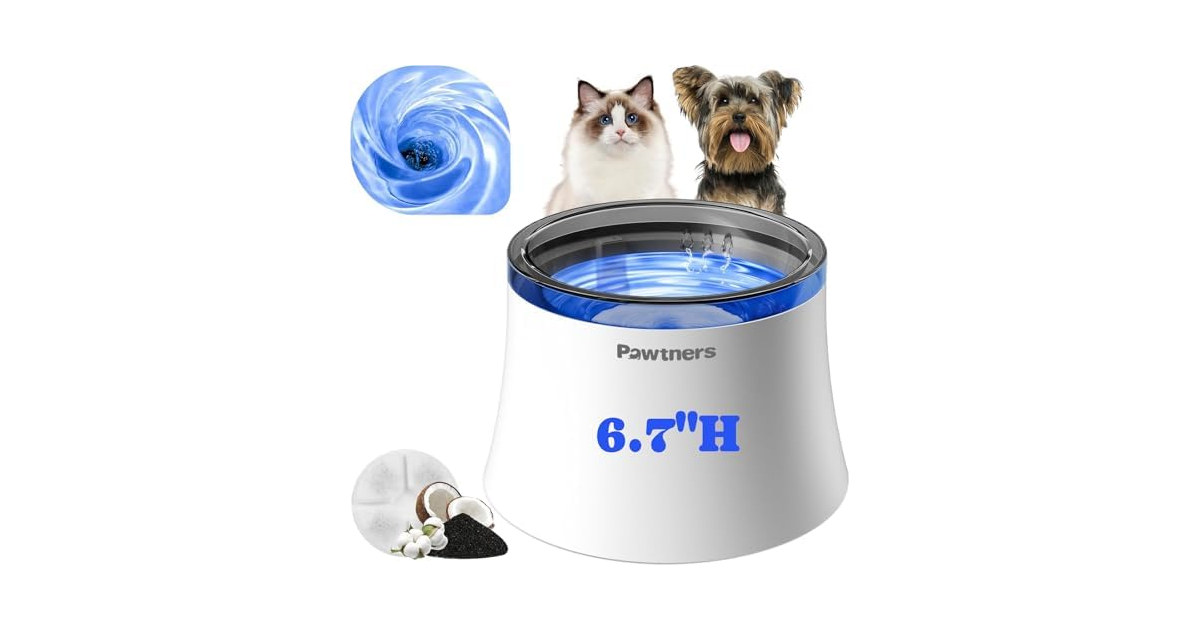 Pawtners 1 Gal/3.5L Dog Water Fountain