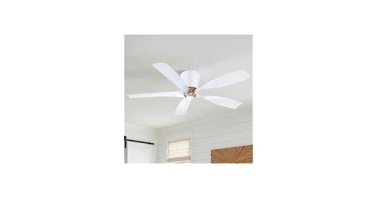 Parrot Uncle 52 Inch Ceiling Fan Modern without Light