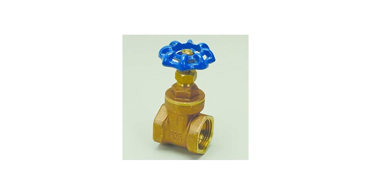 PROFLO PFXT300K 2" Non Rising Stem Gate Valve