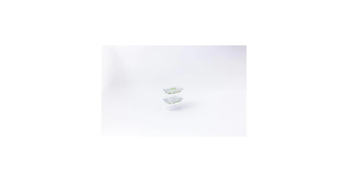 Latchlok 0.9 Cup Food Storage Containers, Set of 2 - Sage
