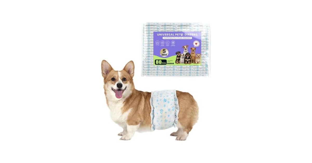Ypfyed Dog Diapers Male, Incontinence