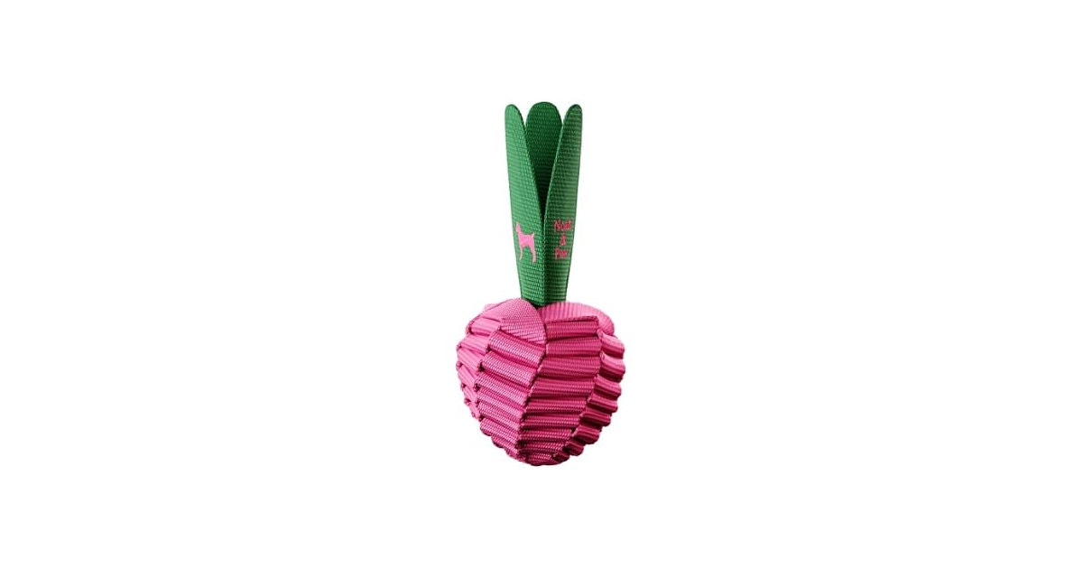 NOAH & PAW Luxury Dog Toy, Beet