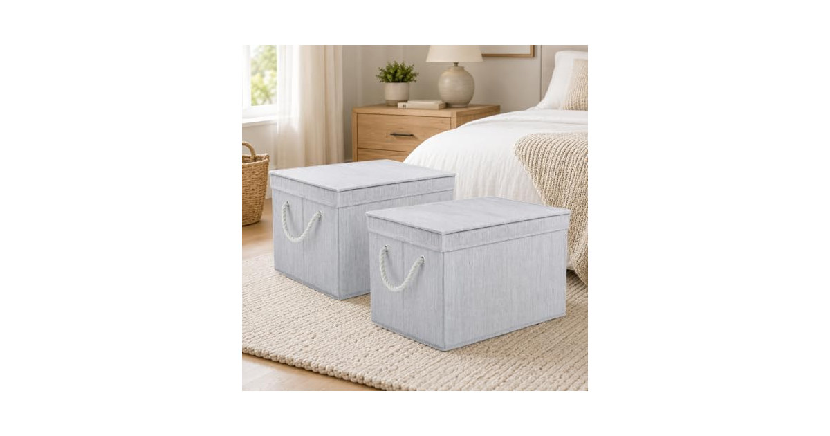 Suptinwear 2 Pack Large Storage Bins with Lids, Gray