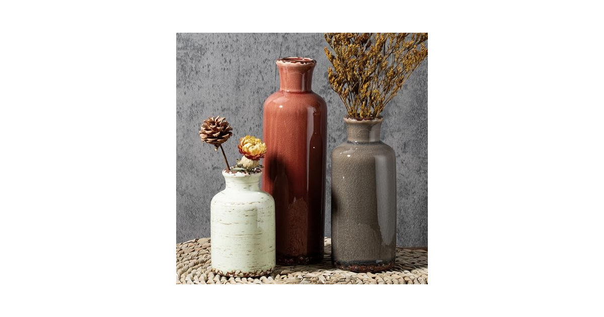 LIFESTYLO Ceramic Vintage Vase Set of 3