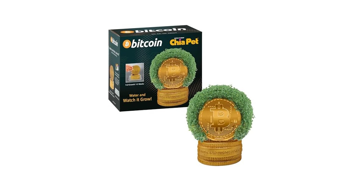 Chia Pet Bitcoin Terracotta Planter